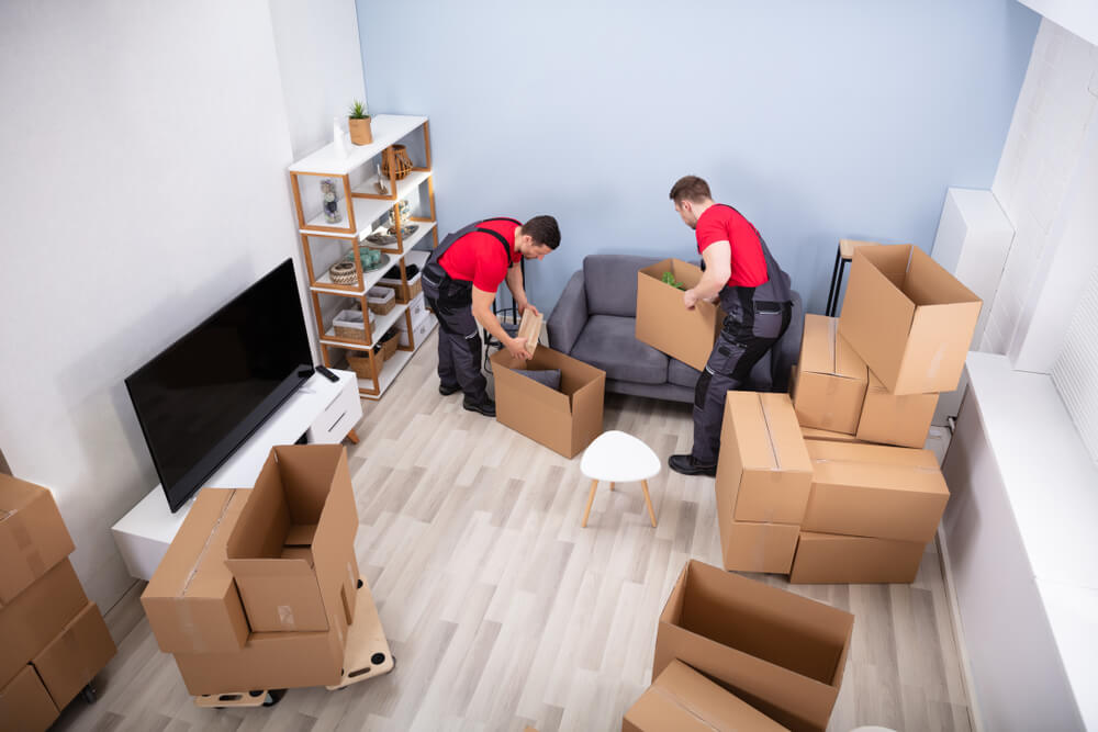 Professional Movers in Silver Spring